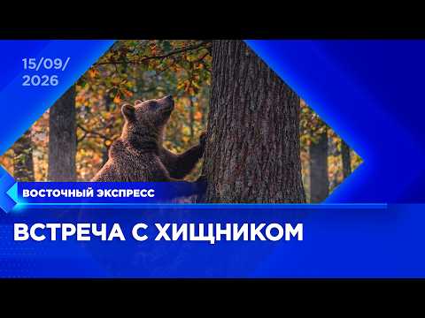Медведь напал на рыбака в Бурятии | «Восточный экспресс» | новости Улан-Удэ