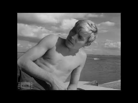 The Knife in The Water (Clip) - AIFF 2018