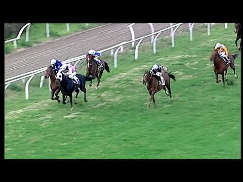 Trotto 11/01/2021 - 4ª corsa