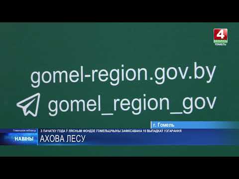 10 случаев возгорания зафиксировано с начала года в лесном фонде Гомельщины видео