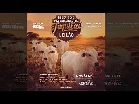 Leilão do Sindicato Rural de Jequitaí