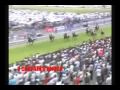 10 Best Horses For 2010 Public Vote Part 2
