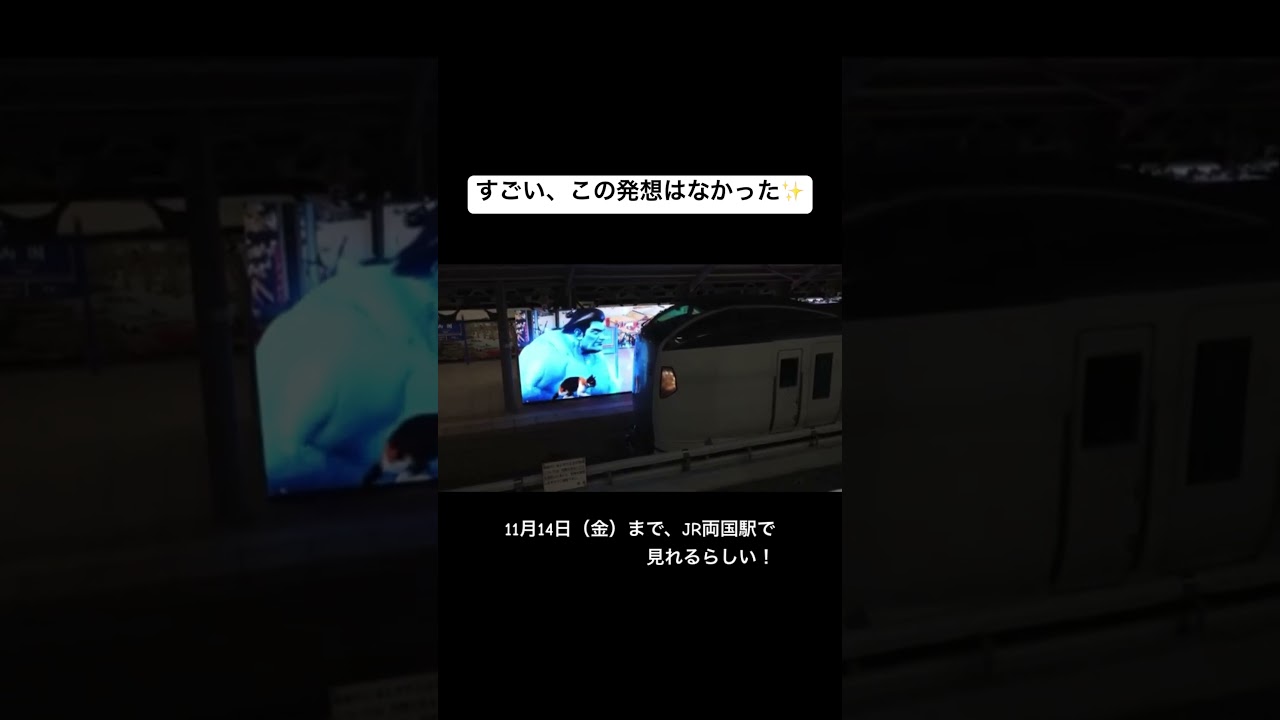 すごい、この発想はなかった。11月14日（金）まで、JR両国駅で見れるらしい✨　#魔人力士 #funny #ItHappensonPS5 #PS5 #両国駅　#fyp