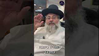 דקה עם החיד''א-תורה מהר סיני