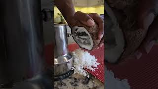 Fastest  way to grate a Coconut😆 #shorts