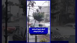 أمطار غزيرة تتساقط على الدار البيضاء thumbnail