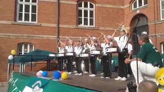 preview picture of video 'Spielmannszug Bernburg - Spatzen-Drumline'
