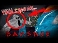Trolling as BANSHEE (I MADE A KID CRY) | Gorilla Tag Trolling Ep. 4