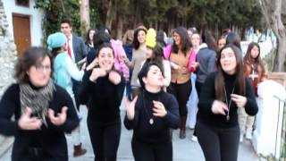 Mensajes del agua-macaco en lenguaje de signos