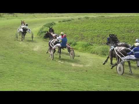 Trka "MZ Mita Vukosavljev-Dolovo" 22.05.2021 Fantast B.O. - Miloš Kovačević