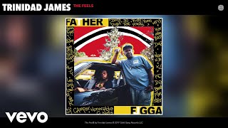 Trinidad James - The Feel$ (Audio)