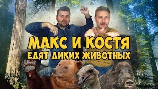 МАКС И КОСТЯ ЕДЯТ ВСЯКУЮ ДИЧЬ