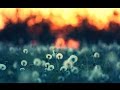 Hayley Westenra Snowflower Yuki No Hana Lyrics Subtitulo