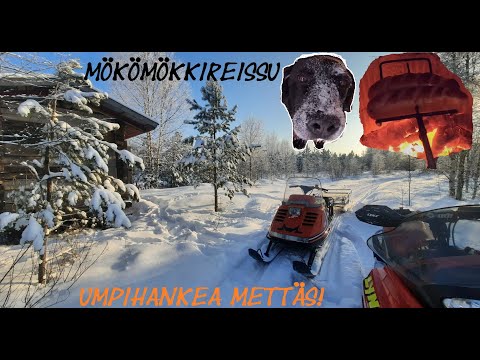 Mökömökille makkaralle & kahville Lynx 535