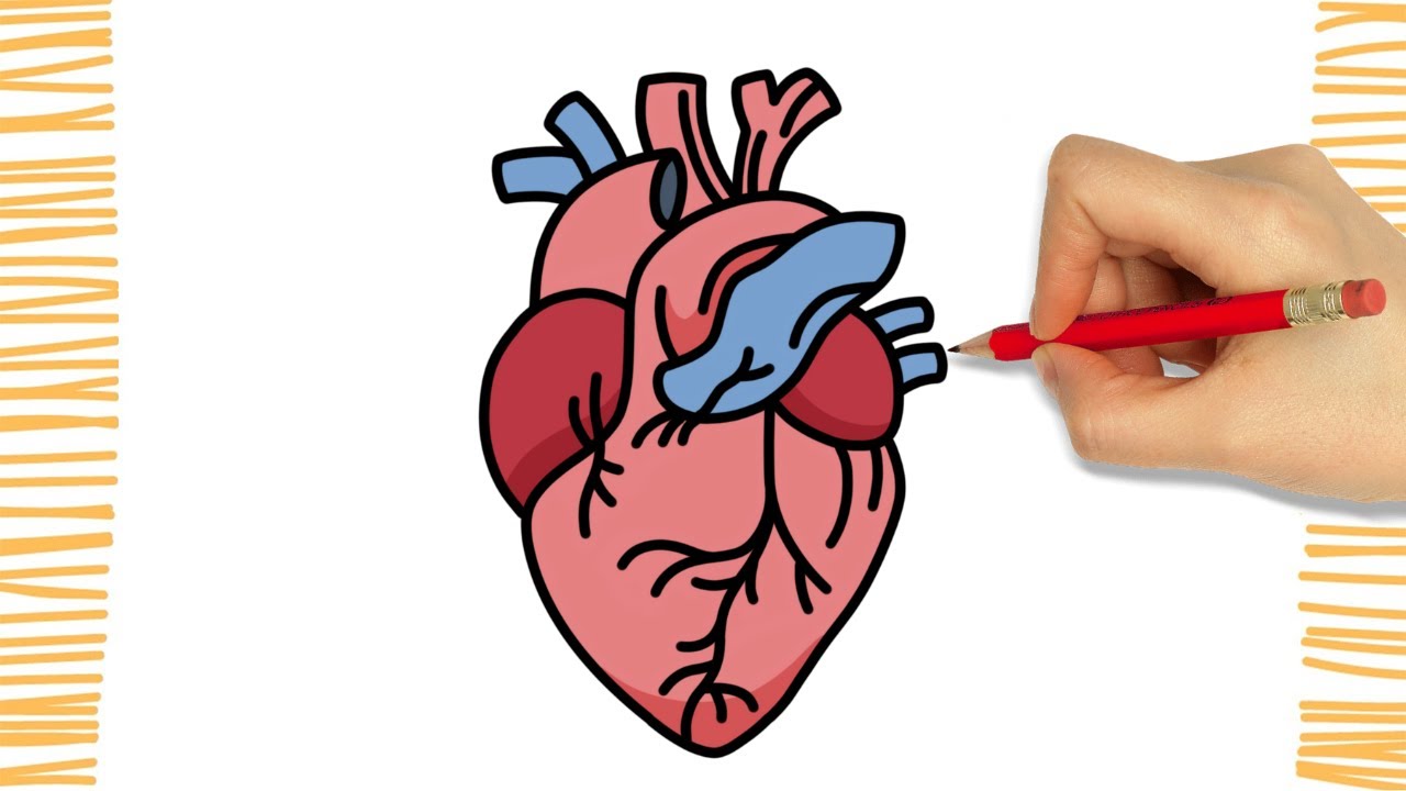 Como Dibujar un CORAZÓN  I Fácil