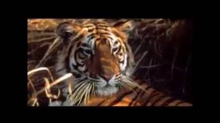 MY BEAUTIFUL BANGLADESH