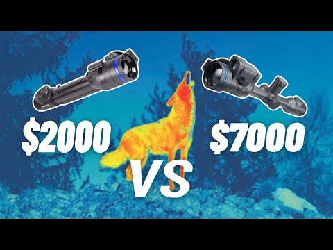 Budget vs Premium Pulsar Thermal Scopes (Tested at 800 Yards)