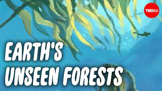 The magical forest realm hiding at the bottom of the ocean - Luka Seamus Wright and Salomé Buglass