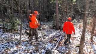 🏕️ Ottawa Valley Hunt Camp