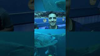 É O GABE PEIXE? KKKK #loudcoringa