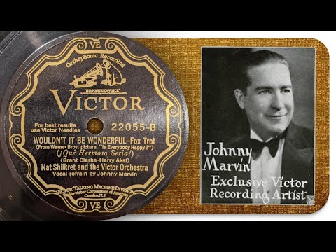 Wouldn't It Be Wonderful - Nat Shilkret And The Victor Orchestra (1929)