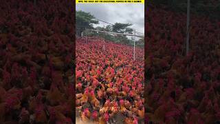 Download lagu #rezatito mp3