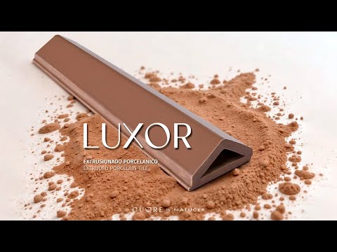 Imagen representativa video