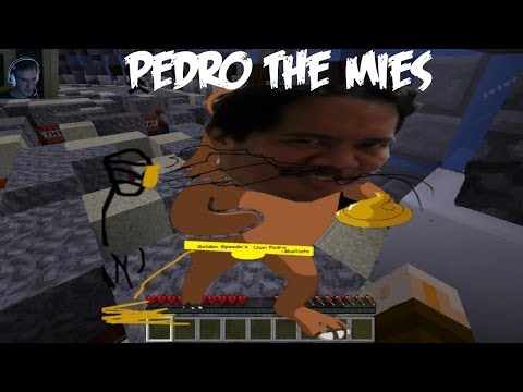 Pedro the Karvainen meksikolainen - Kooste J0Pin striimistä 7.3.2014