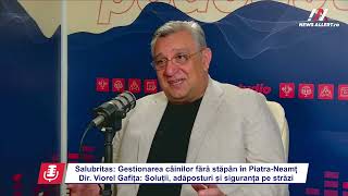 Viorel Gafiţa -dir. Salubritas Piatra-Neamţ: Soluţii, adăposturi pentru câini şi siguranţa pe străzi