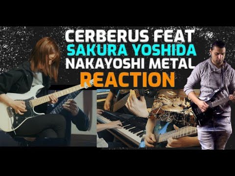 Cerberus feat. Sakura Yoshida - NAKAYOSHI METAL - Full Band Playthrough REACTION
