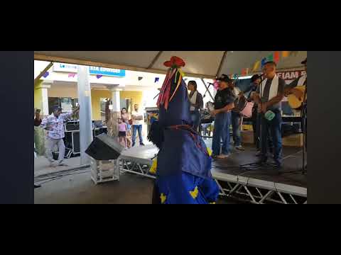 Cia de Reis Pio XII de Monte Aprazível-SP cantando no palco 2019