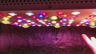 NEW TRUESUN 6 LED GROW LIGHT  FREE SHIPPING ACMPR DISCOUNT!