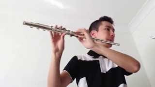 Molly On The Shore by Percy Grainger (Flute cover)