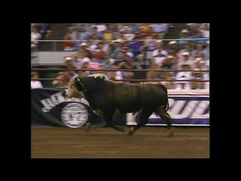 Sugar Bear bucks Brian Herman - 95 PBR Nashville