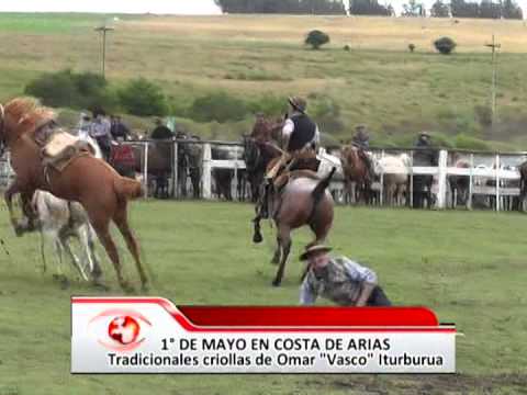 Criollas Costas de Arias 2014