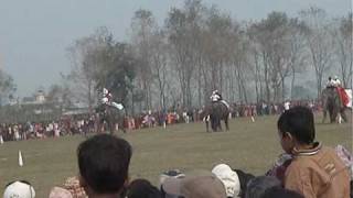 preview picture of video 'International Elefantrace 2006 Chitwan Nepal.'