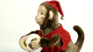 preview picture of video 'Magic Monkey - Vidler's TV'