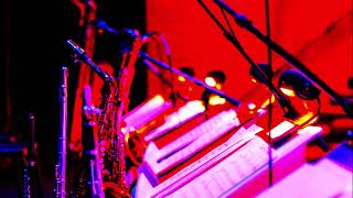 The Very Big Carla Bley Band - "United States"