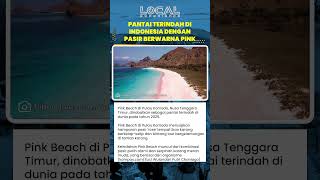 Pink Beach di Pulau Komodo, Pasir Merah Muda dari Foraminifera, Panorama Laut dan Karang Memukau