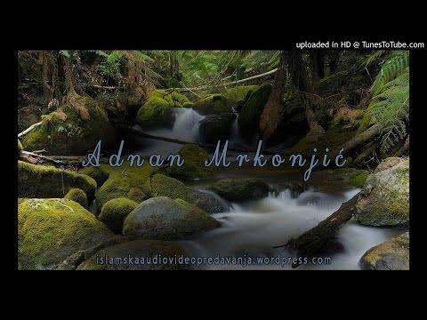 Diplome u Komunizmu - hfz. Adnan Mrkonjic