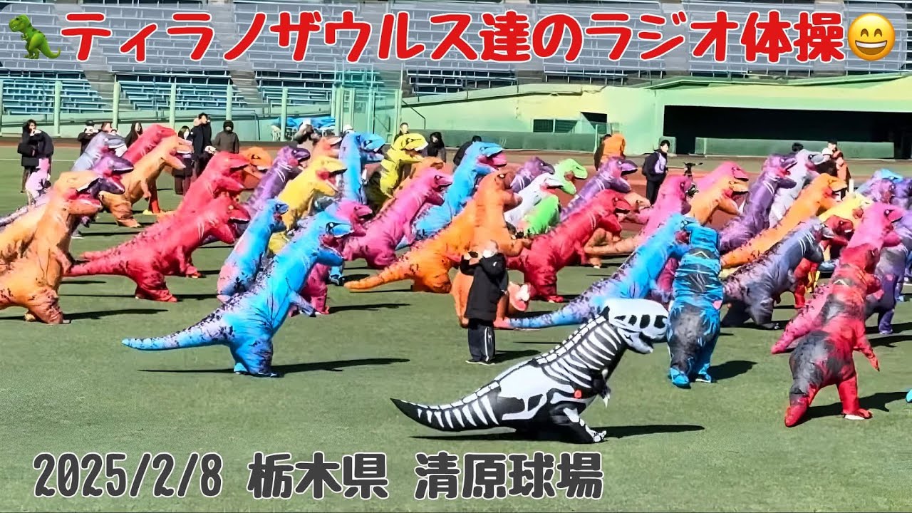 🦖ティラノ達のラジオ体操😄 （2025年２月８日　栃木県　清原球場）