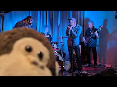 Carlos del Junco with Brant Parker & The Boiler Room Blues Band: Junco Partner