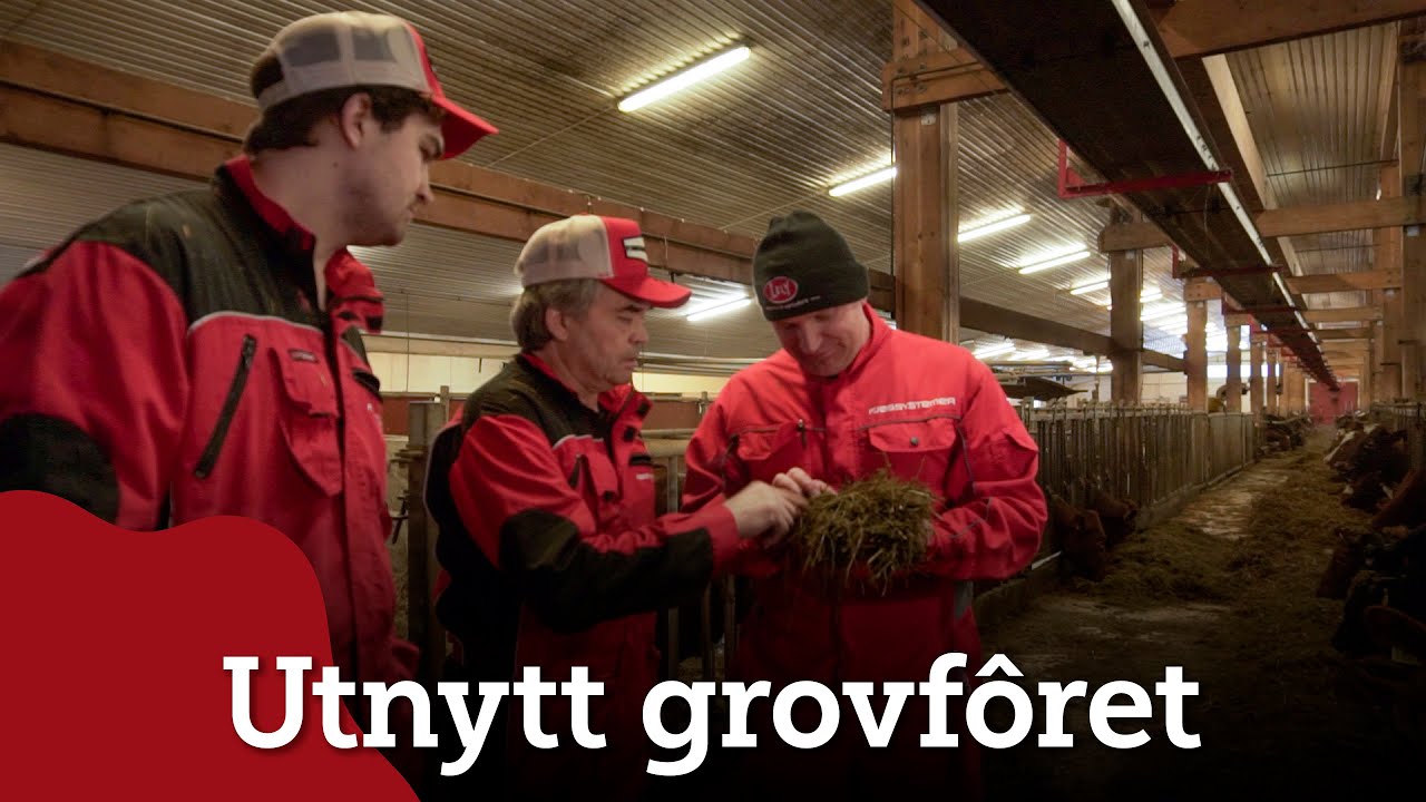 Utnytt grovfôret: Smart Fôring i praksis hos Våler Samdrift