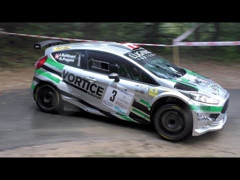 23° Rally Valli Cuneesi 2017 | Show, Max Attack & Mistakes [HD]