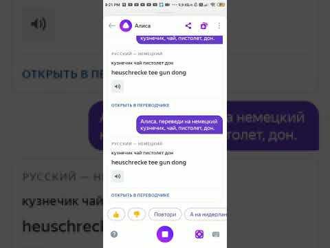 Алиса переведи на английский. Кузнечик чай пистолетик дон. Алиса перевод с видео. Алиса перевод с видео. Разговор с алисой.