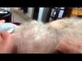 Feeling Bushy Hairy Chest