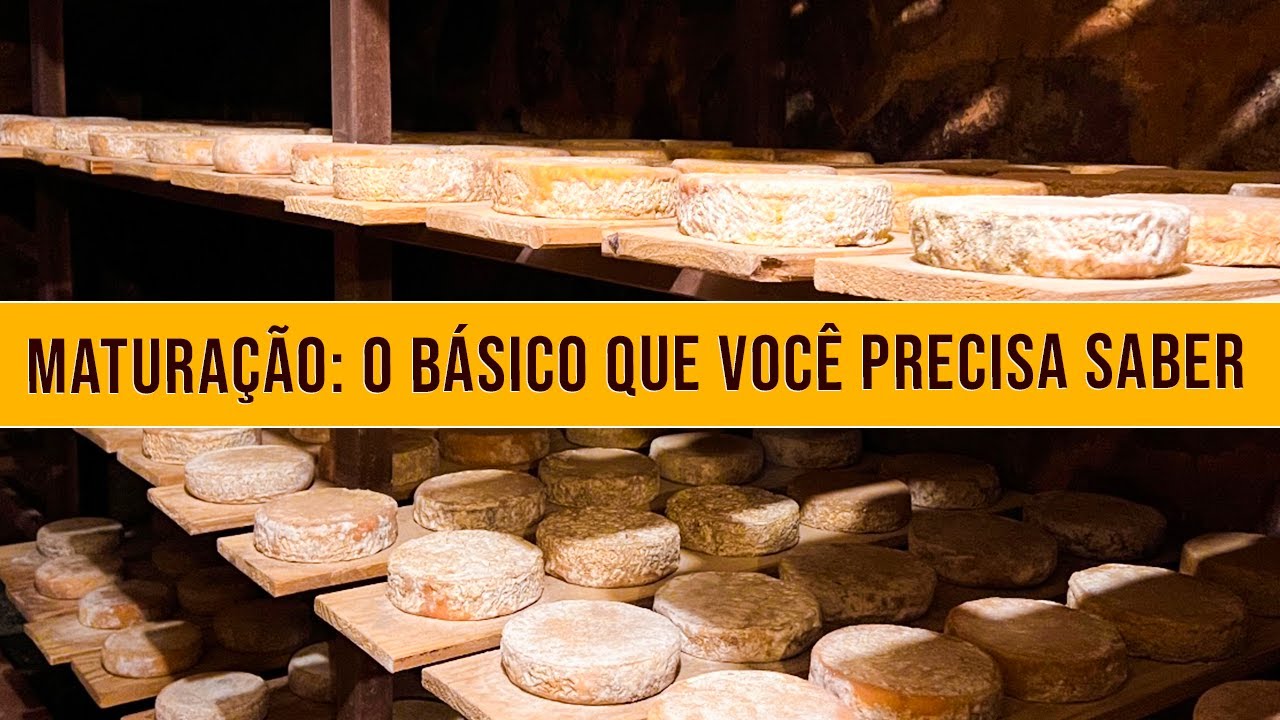 Conheça os Segredos da Maturação de Queijos