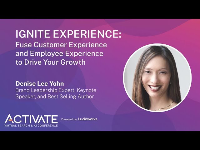 Lucidworks product / service