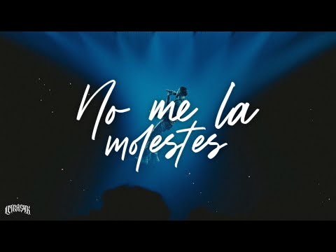 Rauw Alejandro, Ñejo, Dalmata - NO ME LA MOLESTES (Letra)