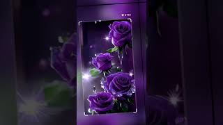 Download lagu video bunga mawar yang sangat cantik #jedagjedugviral mp3